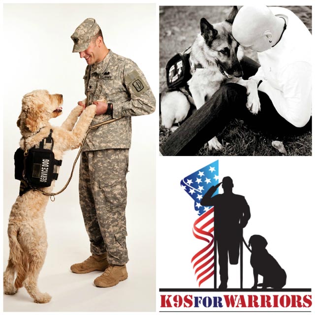 support k9s for warriors nonprofit organization
