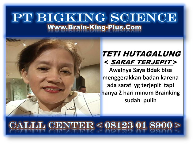 Brainking Plus 08123 01 8900 