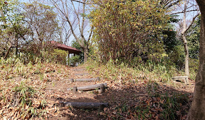 持尾城跡(南河内郡河南町)