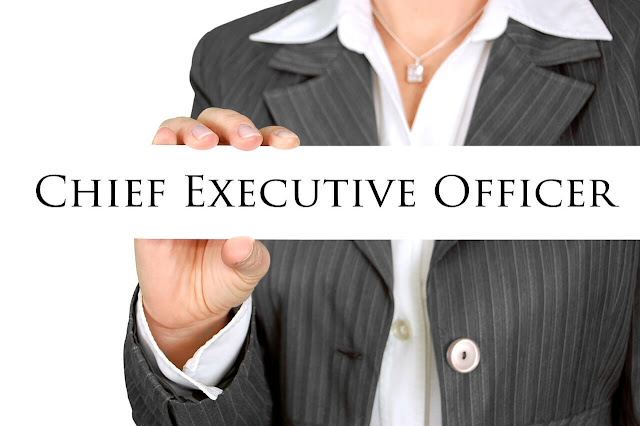 CEO chief executive officer