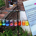 Woman Whose Neighbors Said Her Yard is 'Relentlessly Gay' is Raising Money to Make it More Gay
