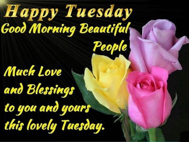 Happy Tuesday Good Morning Images 9