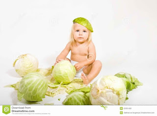 Cabbage