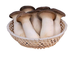 Pleurotus eryngii - Seta de cardo