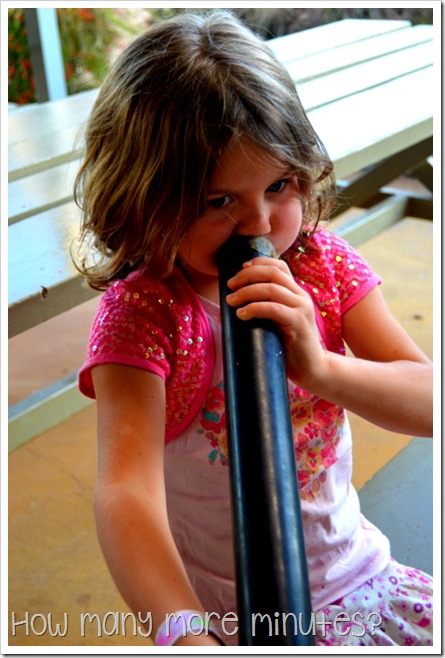 A Surprise Didgeridoo Performance | How Many More Minutes?
