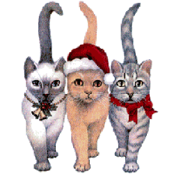 katte054