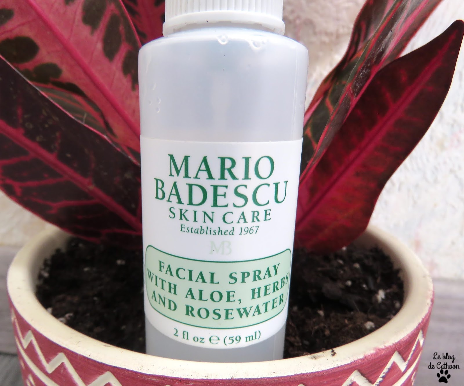 Facial Spray With Aloe Herbs and Rosewater - Mario Badescu