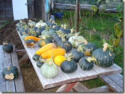 squash 4. Oc.09 012