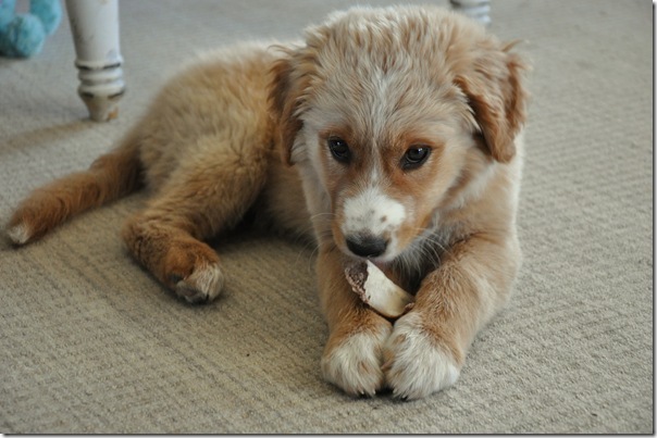 Lucy and Her Bone