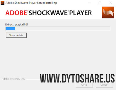 Adobe Shockwave Player 12.2.5.195