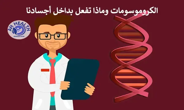 الكروموسومات وماذا تفعل بداخل أجسادنا