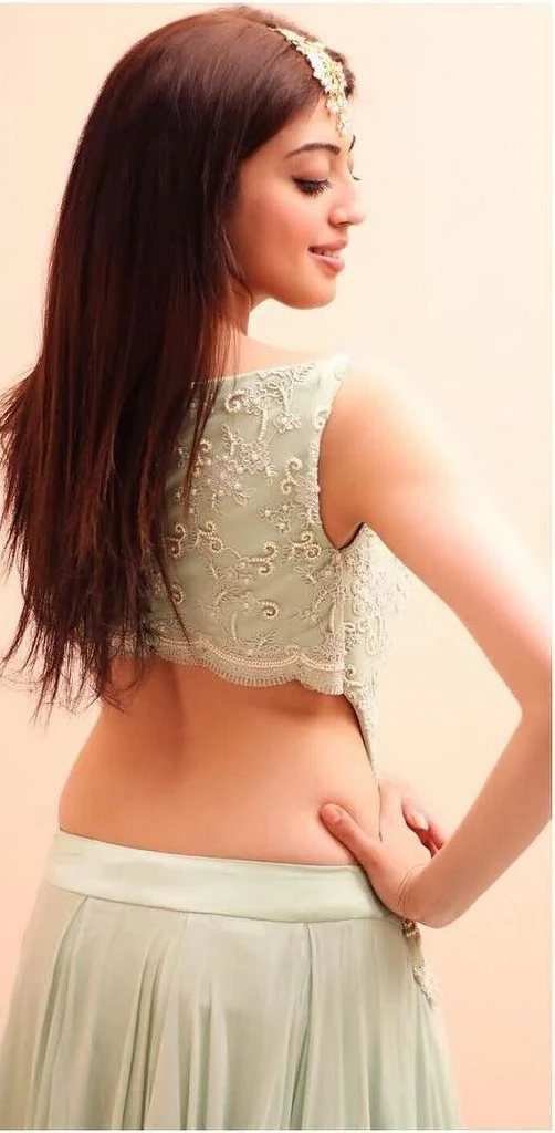 Pranitha Sexy Lingerie Images