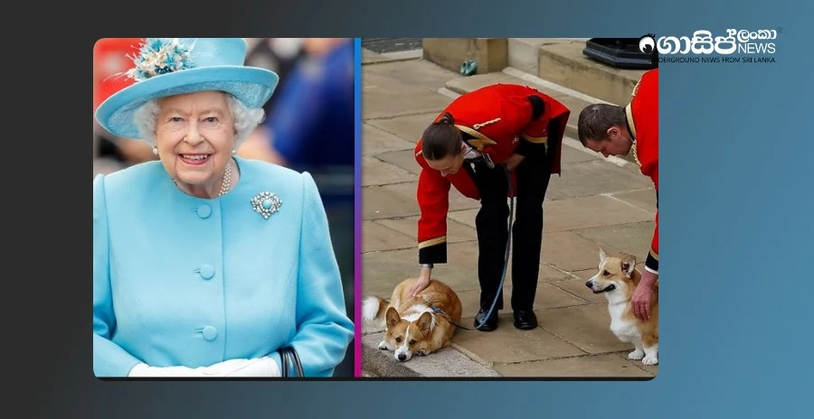 Andrew-and-Sarah-are-assigned-to-take-care-of-the-dogs-before-the-queen-dies