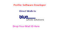 BlueWhale-Solutions-walkin-software-developer-chennai