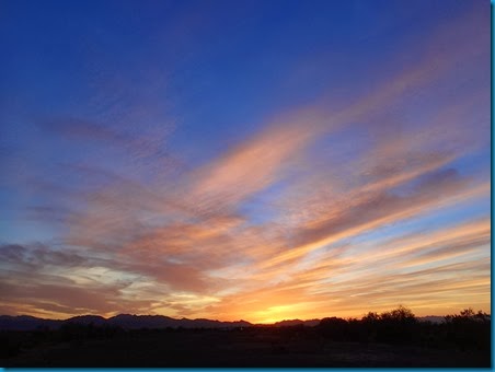 2014-02-16 016