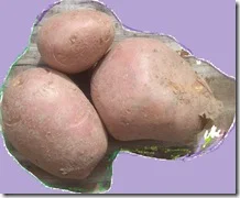 novabatata