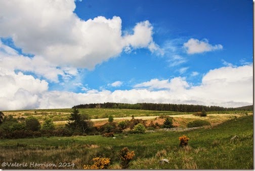 18-boreland-of-southwick