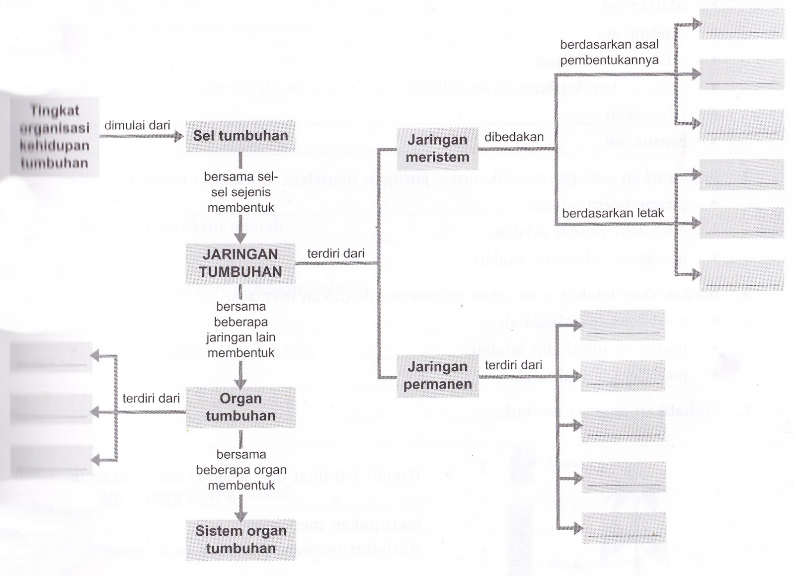 REMARKABLE OF BIOLOGY Peta Konsep Sel Struktur dan  