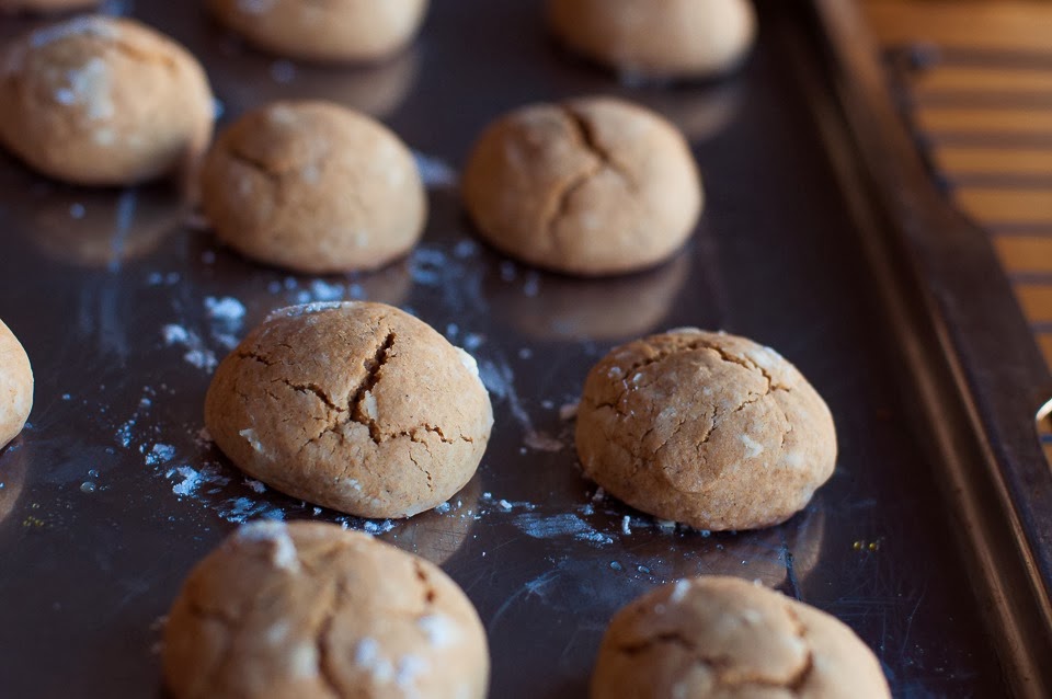 Gluten free peanut butter ginger cookie-0949