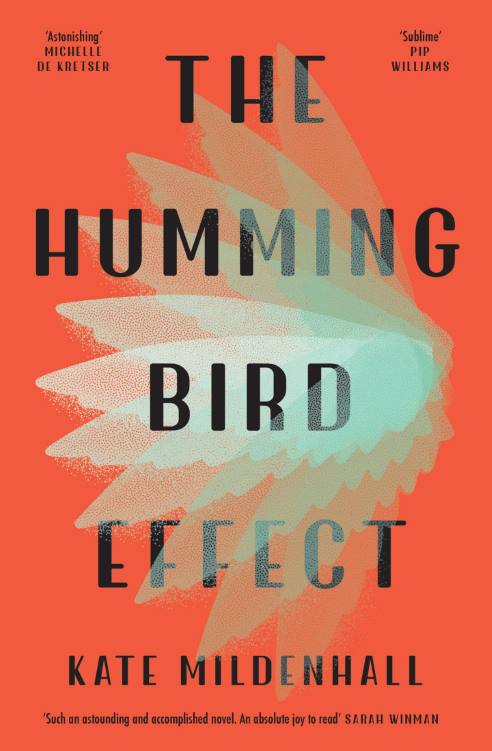 You are currently viewing The Hummingbird Effect by Kate Mildenhall