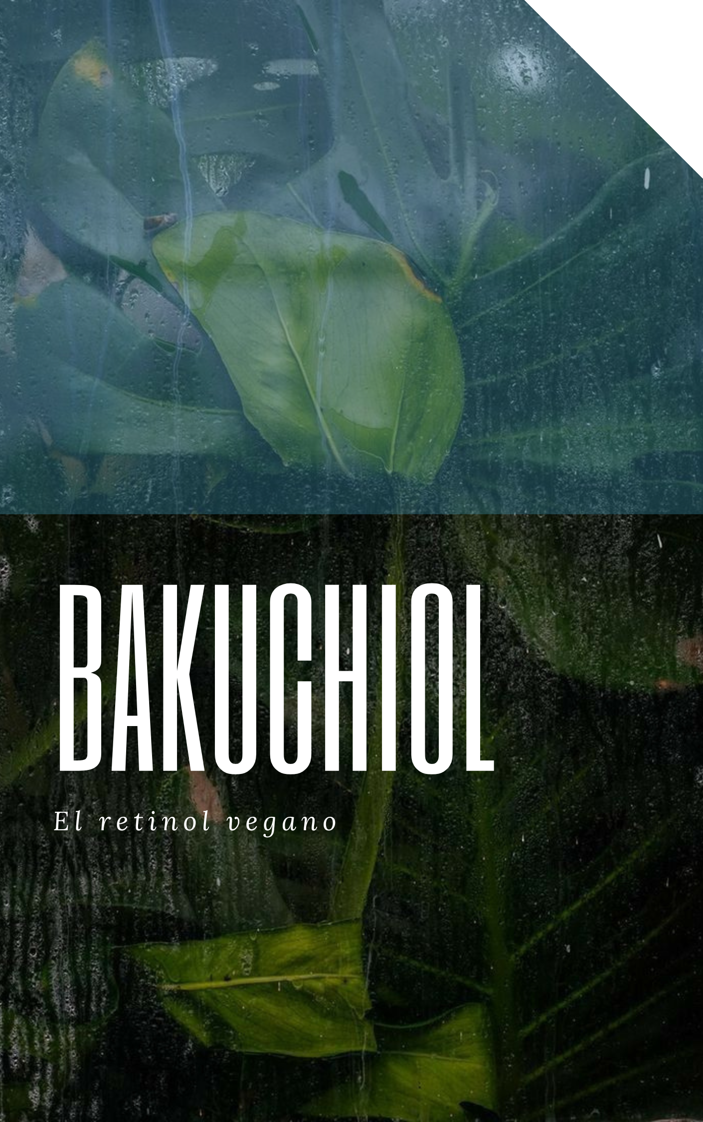 Bakuchiol el retinol natural vegano antiage antimanchas Anti arrugas argentina opinión. Marcas productos