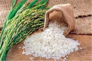 شعبة الأرز تعلن السعر الجديد