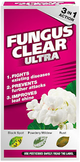 Picture of Fungus clear best buy rose blackspot treatment