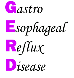  Chennai Gastro Esophageal Reflux Diseases GERD -Acid Reflux Specialty Treatment Clinic, Velachery, Chennai, Tamil nadu, India, dr.sendhil kumar, panruti