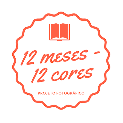 12 meses 12 cores