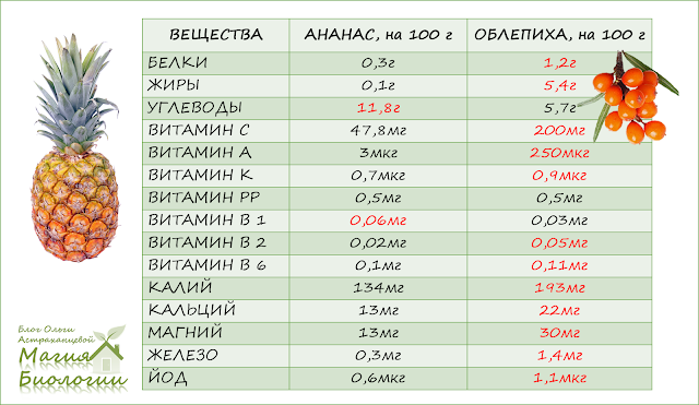 сибирский-ананас-сравнение-веществ-облепихи-ананаса