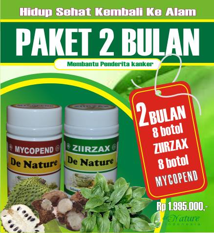 kanker payudara adalah pdf obat herbal padangsari