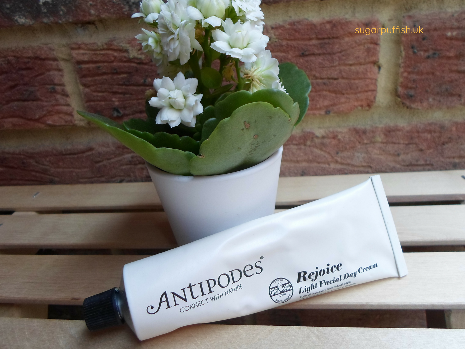 Review Antipodes Rejoice Light Facial Day Cream