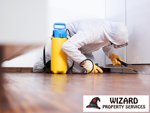 https://www.wizardpropertyservices.net.au/pest-control-brisbane/