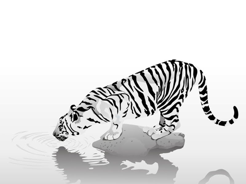 white tiger tattoo. house white tiger (Dejavu