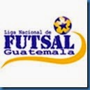 Liga_Futsal