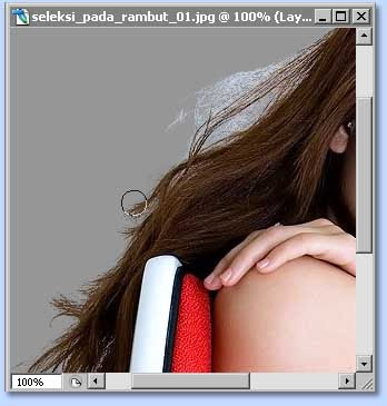 tutorial photoshop untuk membuat seleksi dengan channel dan layer 
mask, gambar 7