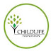 ChildLife Foundation Jobs 2023 in Pakistan - Careers@childlifefoundation.org