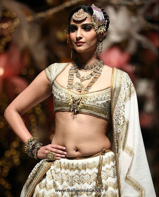 sonam-kapoor-latest-hot-photoshoot-in-saree-sonam-kapoor-hot-navel-show-photos-2013-1