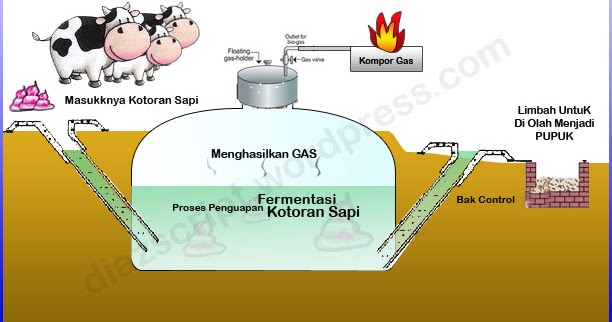 Peternakan: BIOGAS DARI KOTORAN SAPI