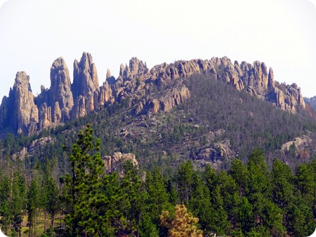 needles vista