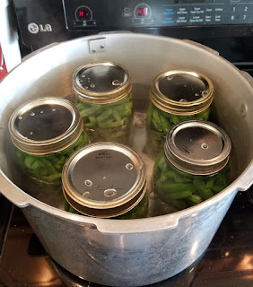 pressure canning green beans