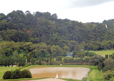 O cãozinho admira a paisagem, como se ela fosse só dele. Nós também ficamos bem impressionados com Monte Verde.