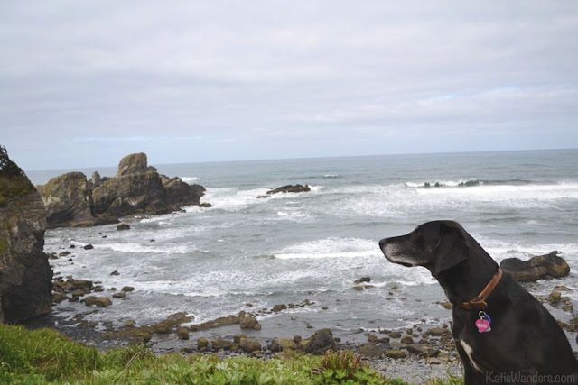 Ecola State Park