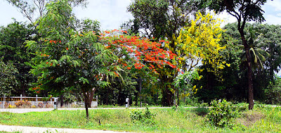 Colorful south Thailand