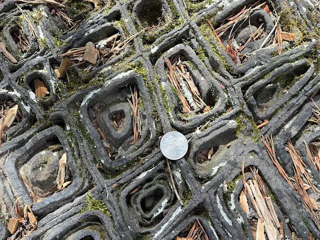 Carpet Rock