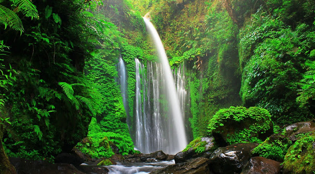 Tiu Kelep Waterfall, Hidden Beauty in Lombok