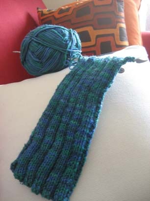 Rib Stitch Scarf