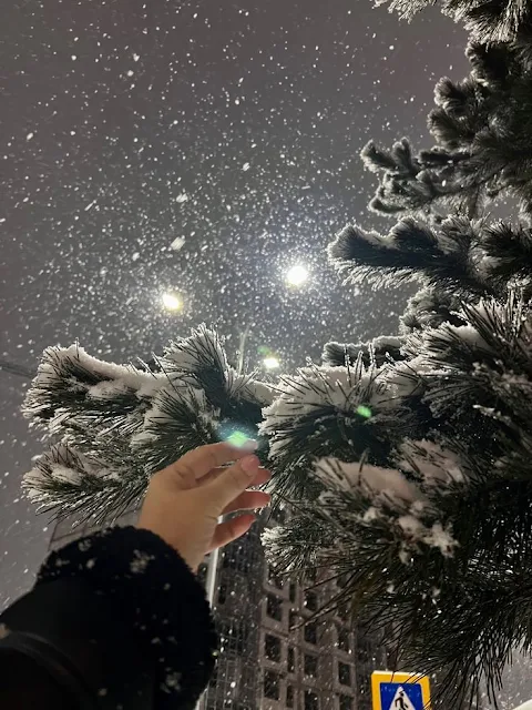 عاصفة ثلجية