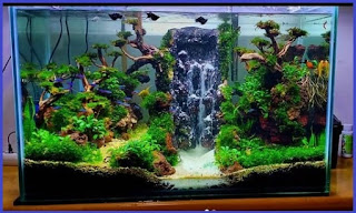 Tema Aquascape simple