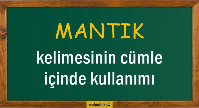 Mantık İle İlgili Cümleler, Kısa Cümle İçinde Kullanımı